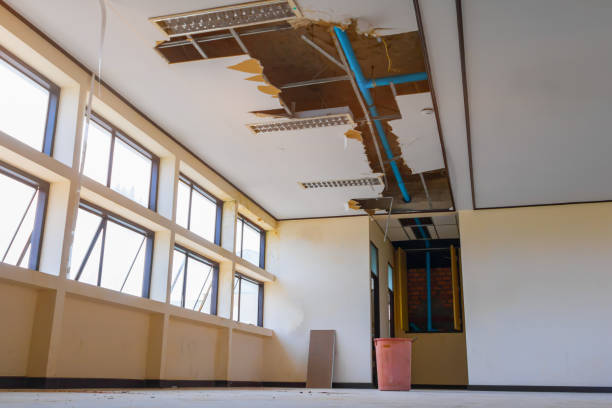 Best Ceiling water damage repair  in Keyser, WV