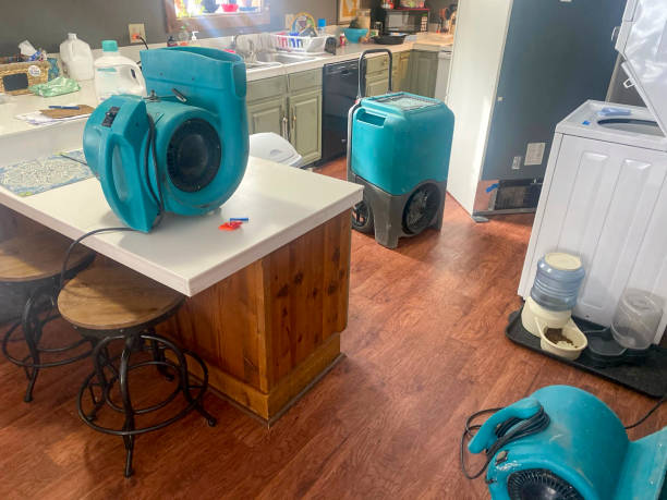 Best Emergency water damage restoration  in Keyser, WV