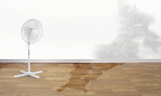 Best Commercial water damage restoration  in Keyser, WV