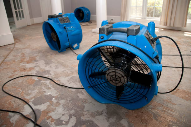 Fire Damage Restoration in Keyser, WV