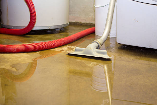 Best Fire Damage Restoration  in Keyser, WV