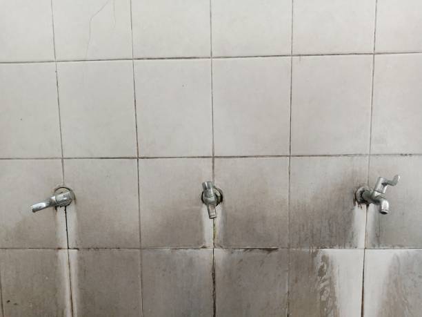 Best Water damage repair service  in Keyser, WV