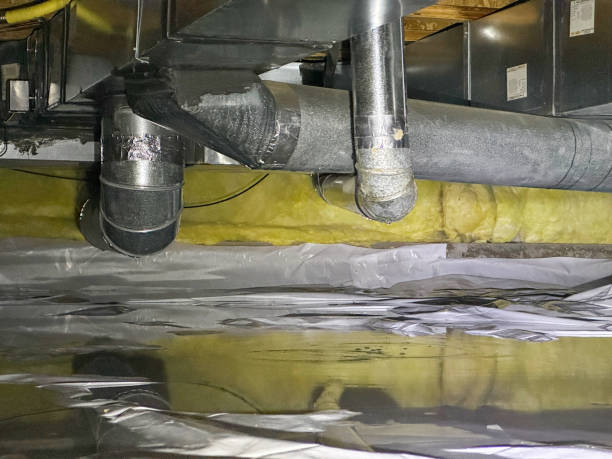 Best Flooded house restoration  in Keyser, WV