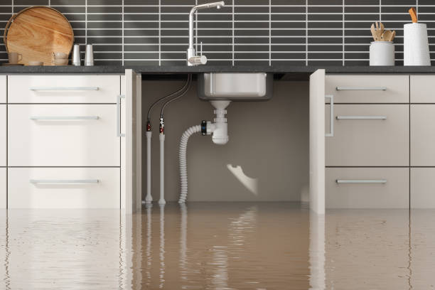  Keyser, WV Water damage restoration Pros