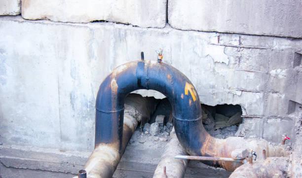 Best Flood damage cleanup  in Keyser, WV