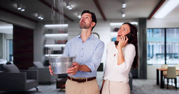 Best Mold removal after water damage  in Keyser, WV